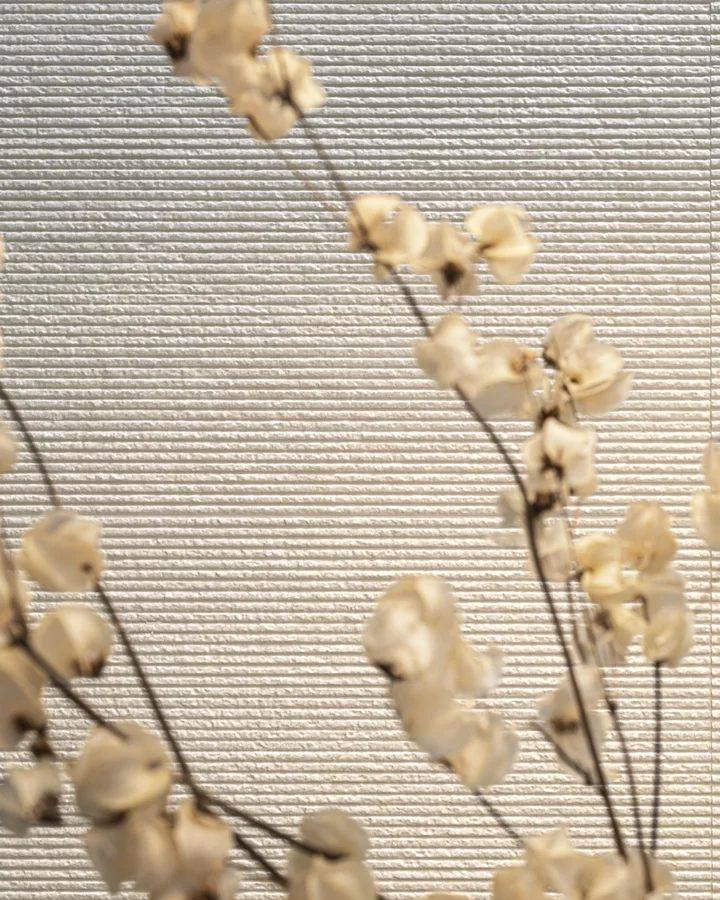 Porcelanato Portobello 45x120 Aeterna Avorio