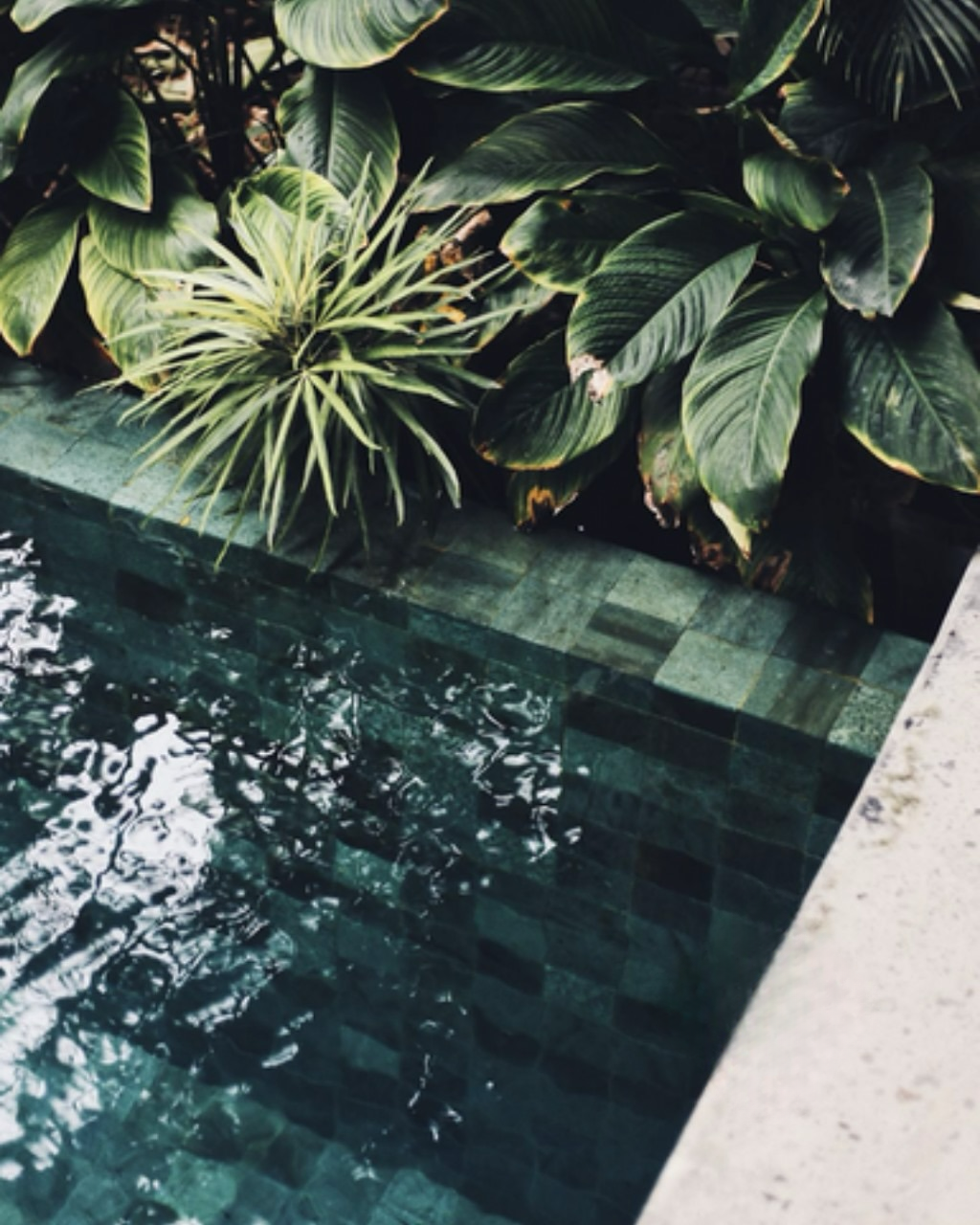 Porcelanato Cerro Negro 64x64 Piedra Bali Piscina