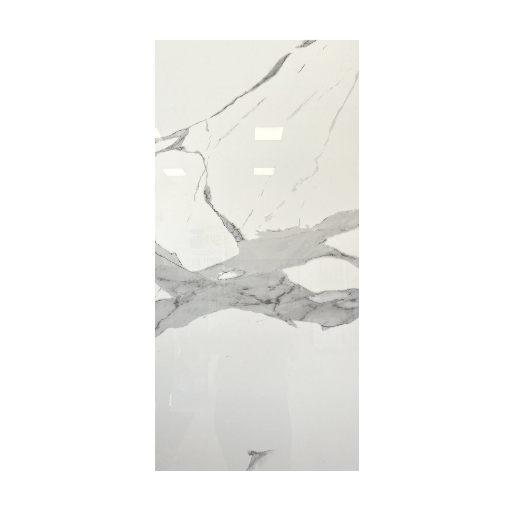 Porcelanato San Pietro Láminas 80x160 Calacata White